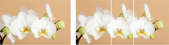 Стол "Грация 2" (1,55) раздвижной Стекло матовое (опоры хром) - Белая орхидея (К-29)